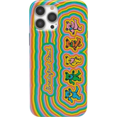 In the Groove | Grateful Dead Dancing Bears Case