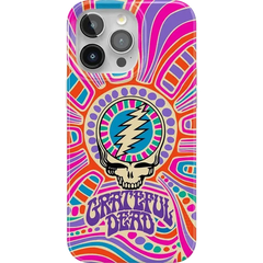 Art of Chaos | Grateful Dead Skull Case