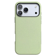 Kiwi Kiss | Matcha Green Shimmer Case