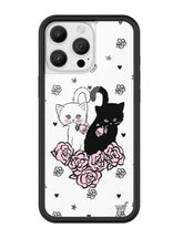 Kittens iPhone Case