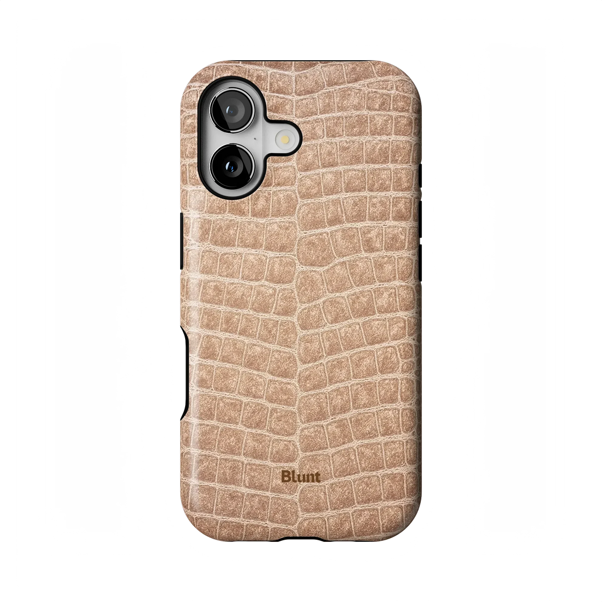 Sandstone iPhone Case